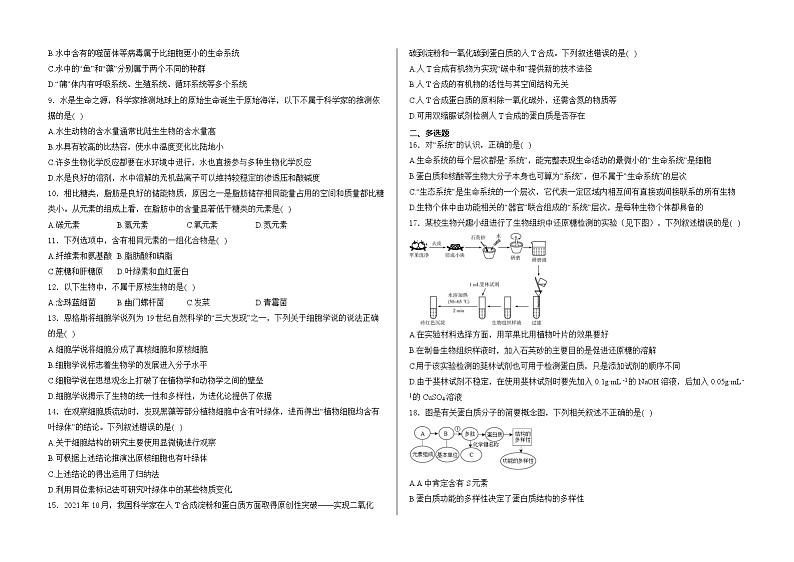 山东省泰安市正德高中2024-2025学年高一上学期10月月考生物试题第2页