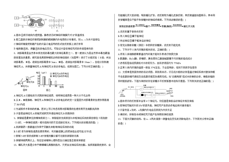 山东省泰安市正德高中2024-2025学年高二上学期10月月考生物试题第2页