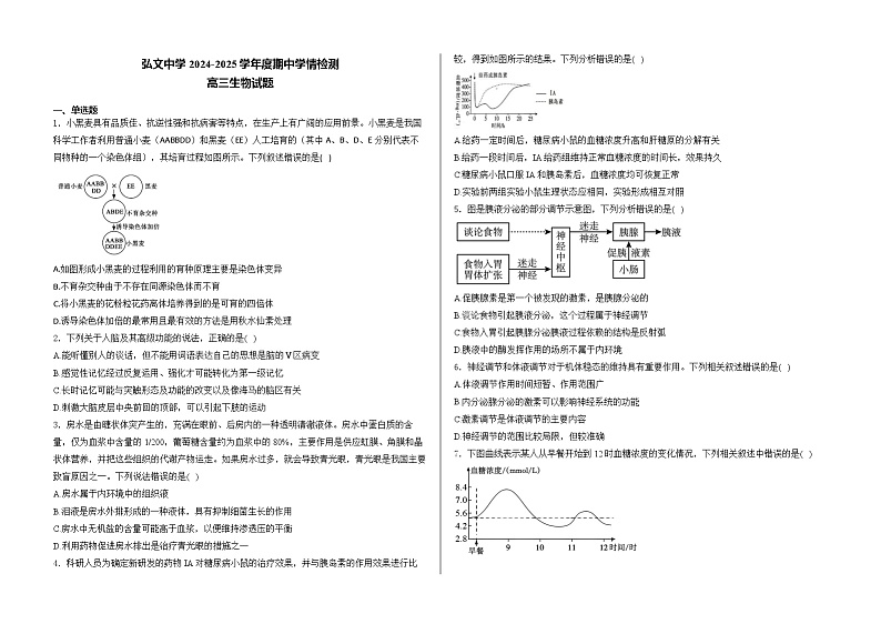 山东省泰安市弘文中学2024-2025学年高三上学期期中检测生物试题第1页