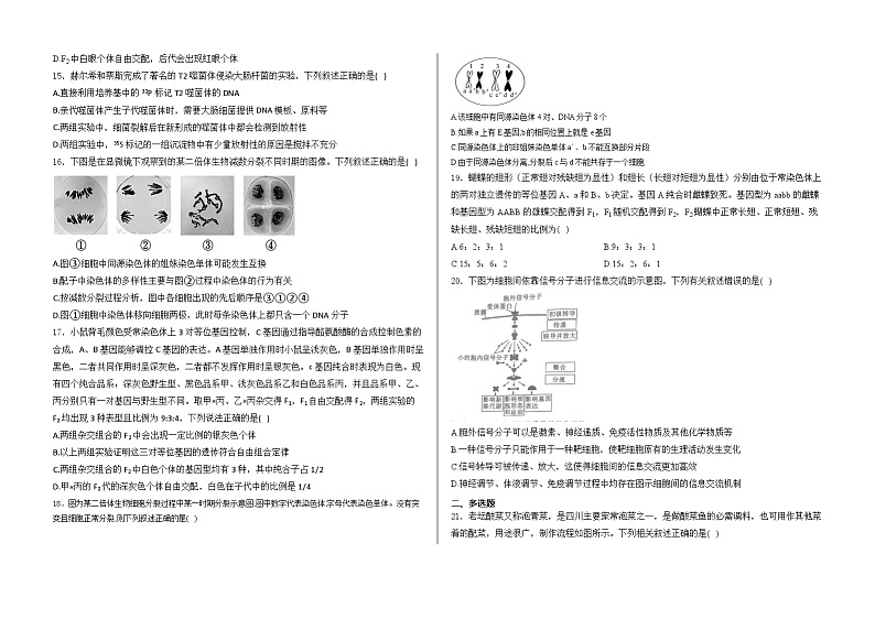 山东省泰安市弘文中学2024-2025学年高三上学期期中检测生物试题第3页
