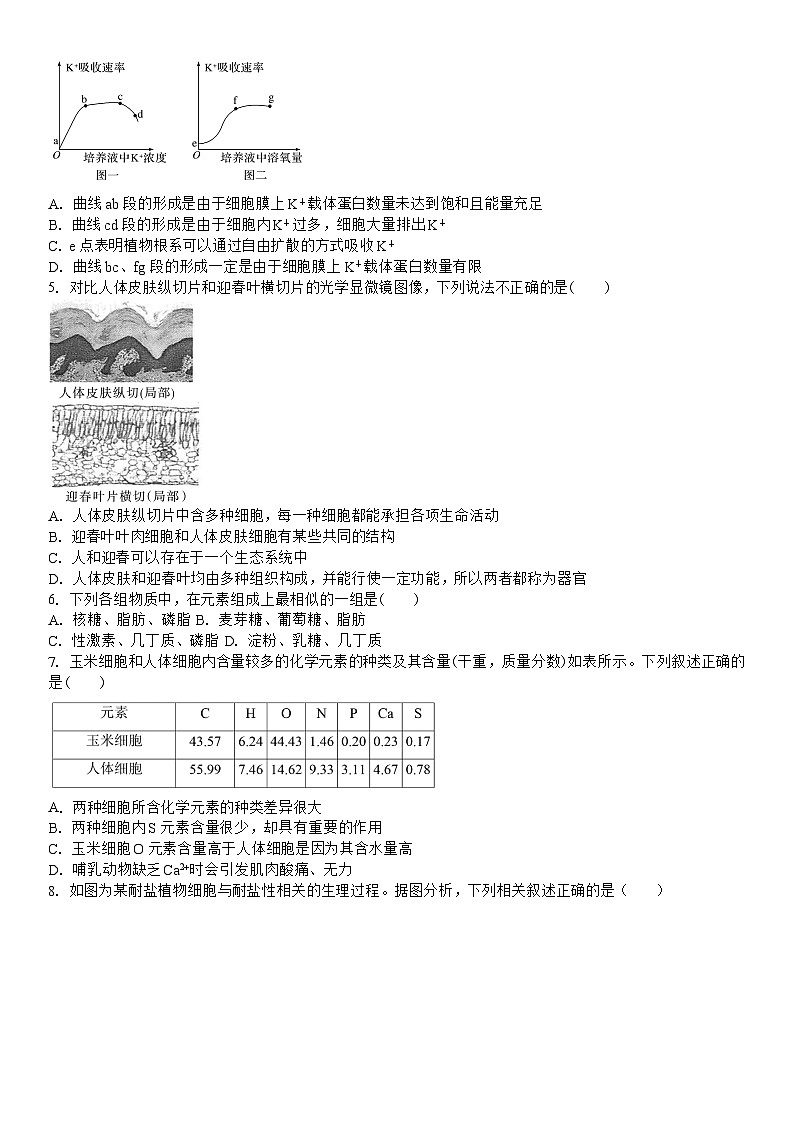 吉林省白城市洮北区白城市第一中学2024-2025学年高一上学期10月期中生物试题02