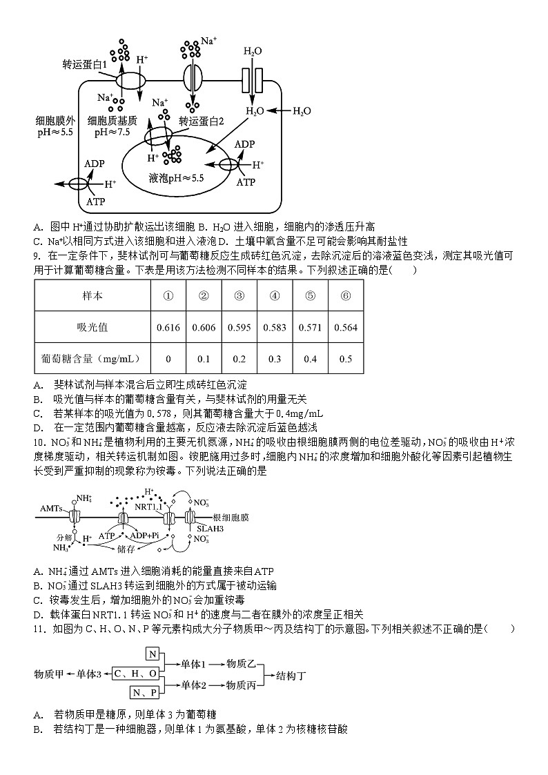 吉林省白城市洮北区白城市第一中学2024-2025学年高一上学期10月期中生物试题03