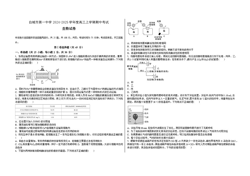 吉林省白城市洮北区白城市第一中学2024-2025学年高三上学期10月期中生物试题01