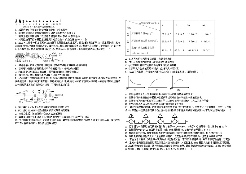 吉林省白城市洮北区白城市第一中学2024-2025学年高三上学期10月期中生物试题02