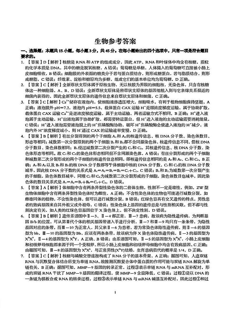 【安徽卷】安徽省县中联盟2024-2025学年2025届高三9月联考（5009C）（9.5-9.6）                生物试卷答案第1页
