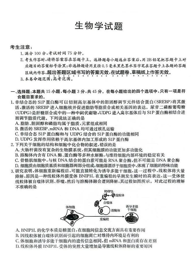 【安徽卷】安徽省县中联盟2024-2025学年2025届高三9月联考（5009C）（9.5-9.6）                生物试卷第1页