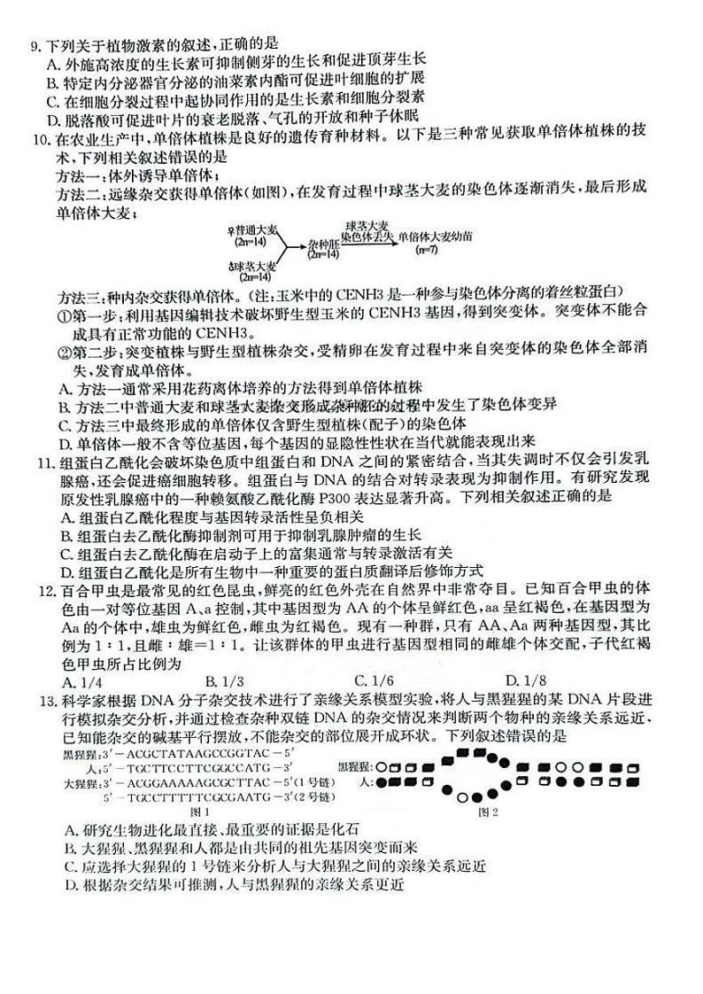 【安徽卷】安徽省县中联盟2024-2025学年2025届高三9月联考（5009C）（9.5-9.6）                生物试卷第3页