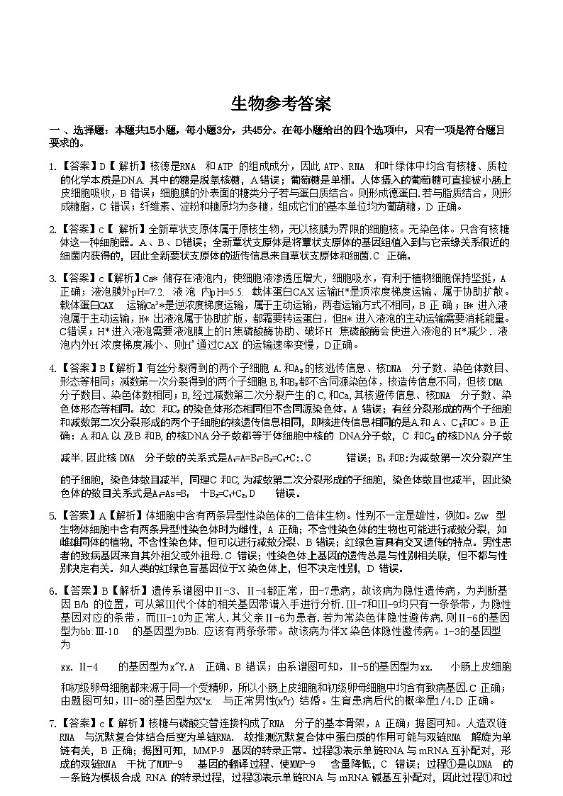 【安徽卷】安徽省县中联盟2024-2025学年2025届高三9月联考（5009C）（9.5-9.6）                生物试卷答案第1页