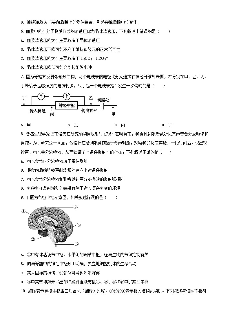 精品解析：重庆市青木关中学2021-2022学年高二上学期期中生物试题（原卷版）第2页