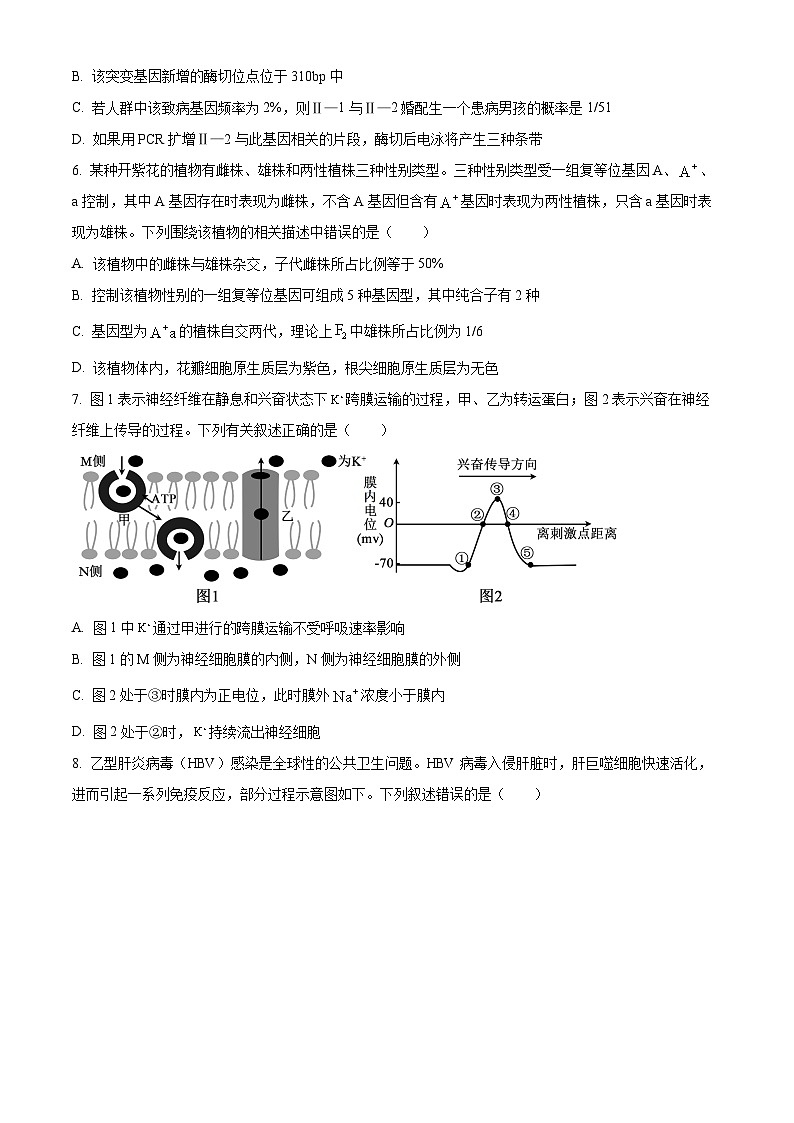 湖南省郴州市2024—2025学年高三上学期第一次模拟考试生物试题 Word版无答案第3页