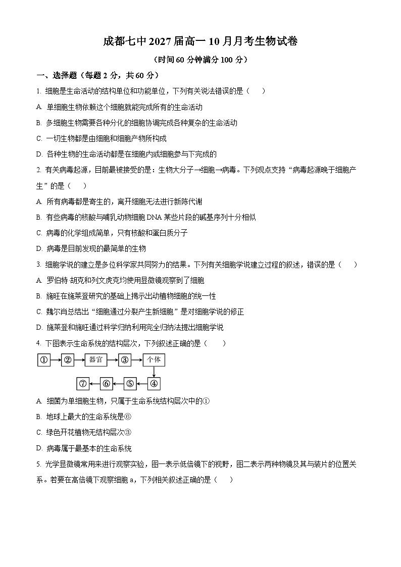 四川省成都市第七中学2024-2025学年高一上学期10月月考生物试题 Word版无答案第1页