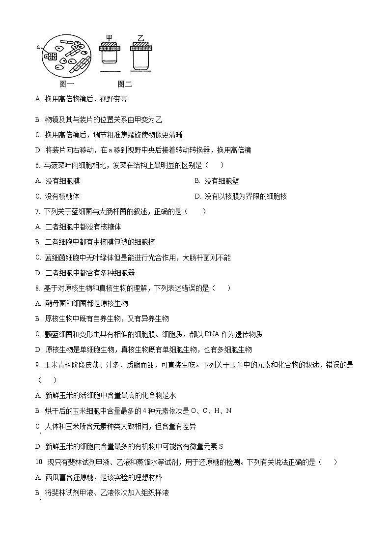 四川省成都市第七中学2024-2025学年高一上学期10月月考生物试题 Word版无答案第2页