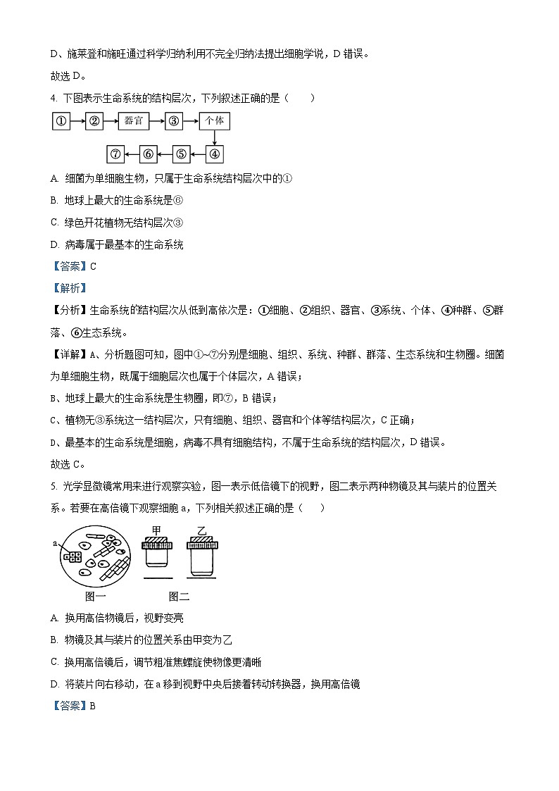 四川省成都市第七中学2024-2025学年高一上学期10月月考生物试题 Word版含解析第3页