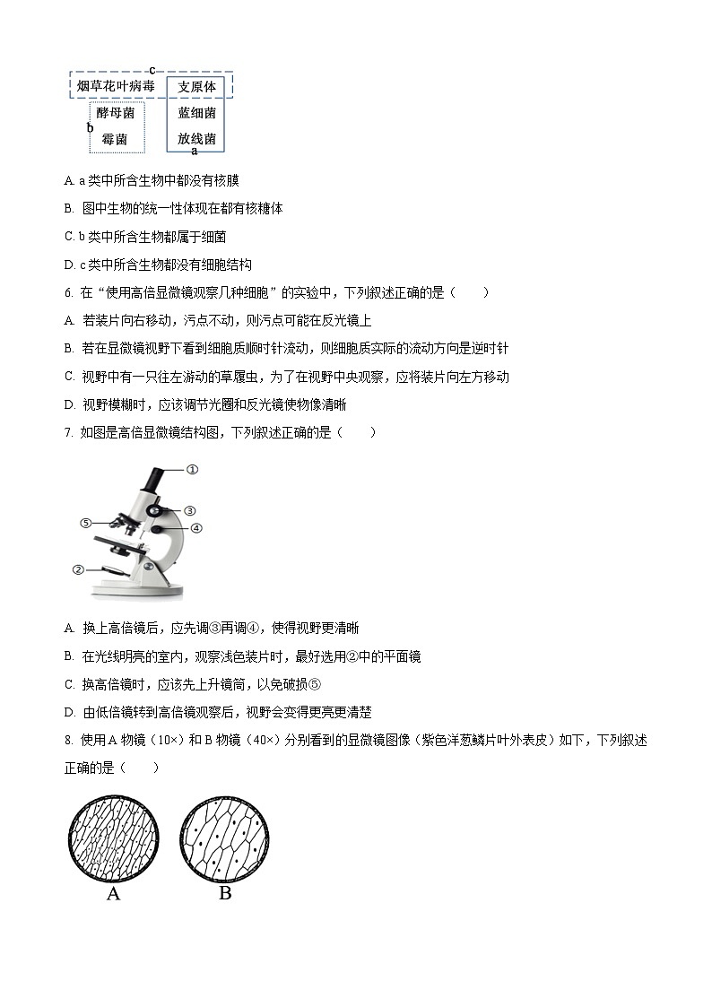 四川省成都市石室中学2024-2025学年高一上学期10月月考生物试题 Word版无答案第2页