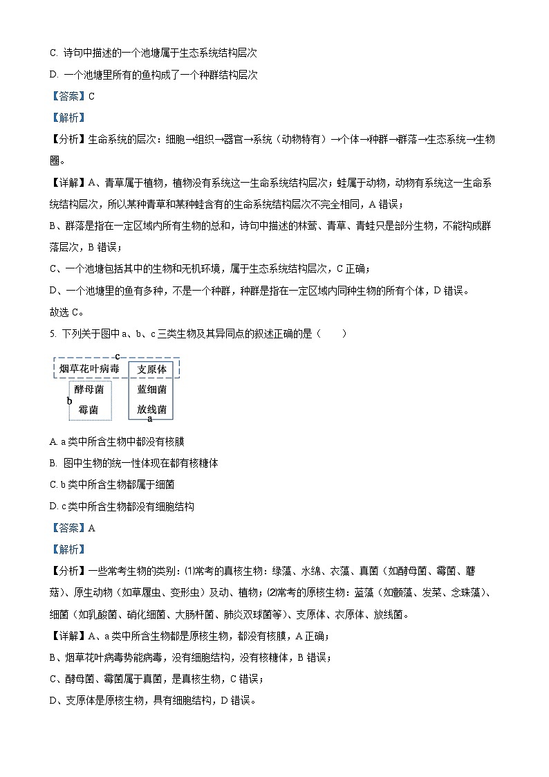 四川省成都市石室中学2024-2025学年高一上学期10月月考生物试题 Word版含解析第3页