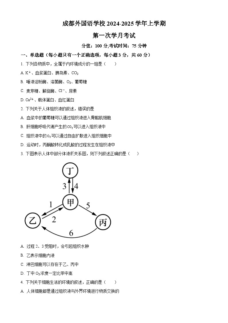 四川省成都市外国语学校2024-2025学年高二上学期第一次月考生物试题 Word版无答案第1页
