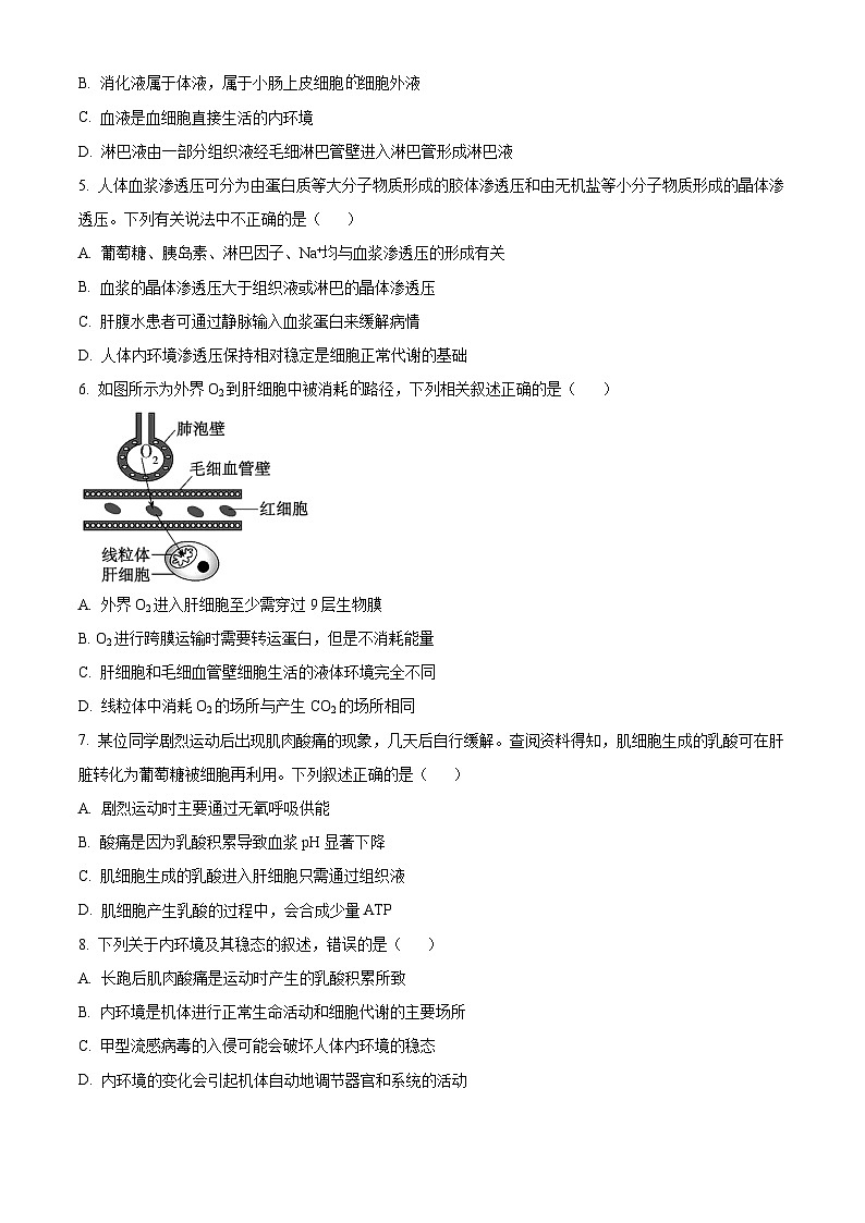 四川省成都市外国语学校2024-2025学年高二上学期第一次月考生物试题 Word版无答案第2页