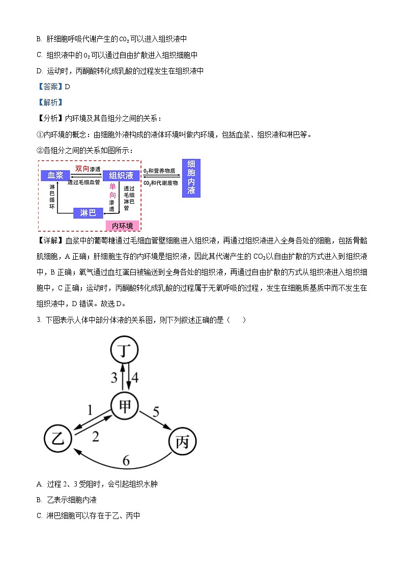 四川省成都市外国语学校2024-2025学年高二上学期第一次月考生物试题 Word版含解析第2页