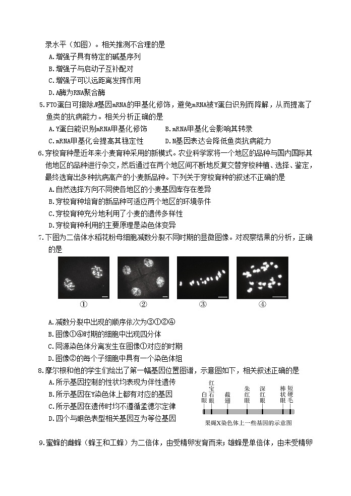 北京市延庆区第一中学2024-2025学年高三上学期期中考试生物试题02