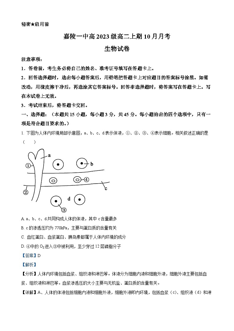 四川省南充市嘉陵第一中学2024-2025学年高二上学期10月月考生物试题 Word版含解析第1页