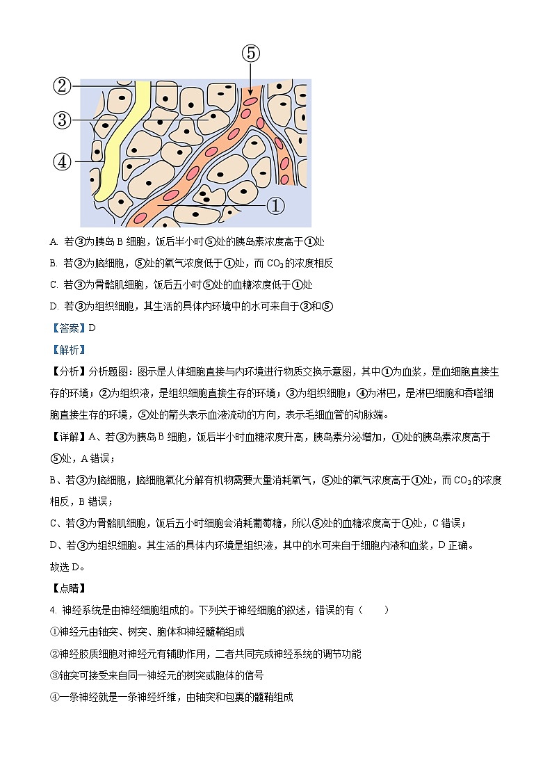 四川省南充市嘉陵第一中学2024-2025学年高二上学期10月月考生物试题 Word版含解析第3页