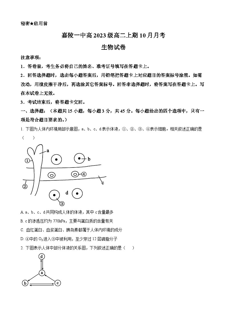 四川省南充市嘉陵第一中学2024-2025学年高二上学期10月月考生物试题 Word版无答案第1页