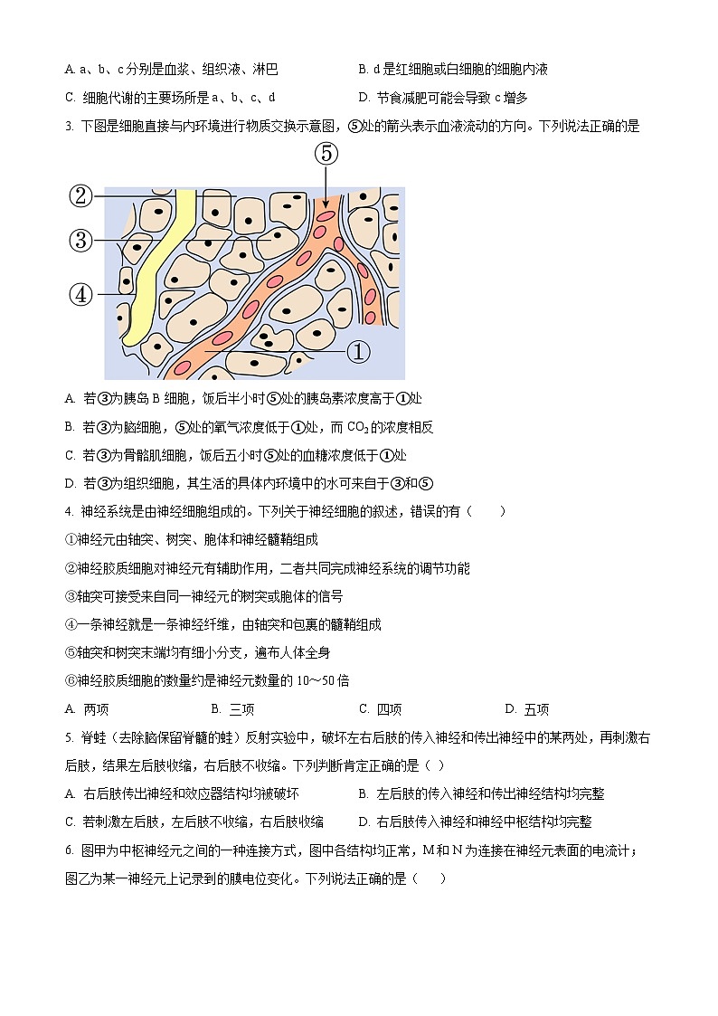 四川省南充市嘉陵第一中学2024-2025学年高二上学期10月月考生物试题 Word版无答案第2页