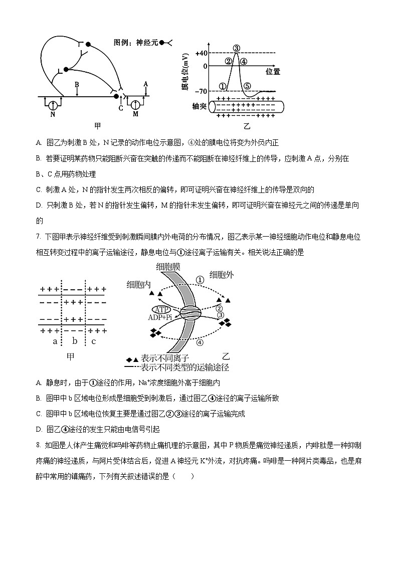 四川省南充市嘉陵第一中学2024-2025学年高二上学期10月月考生物试题 Word版无答案第3页