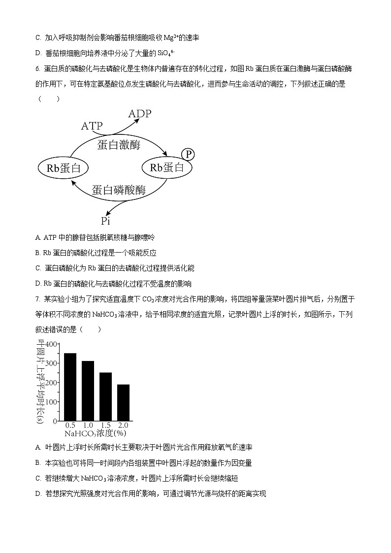 四川省遂宁市遂宁中学2024-2025学年高三上学期一诊模拟考试生物试卷 Word版无答案第2页