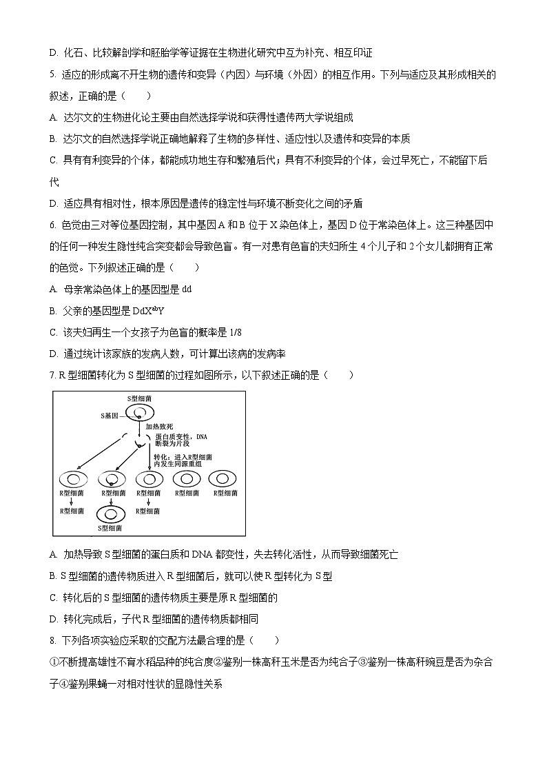 重庆市巴蜀中学2024-2025学年高二上学期10月月考生物试题 Word版无答案第2页