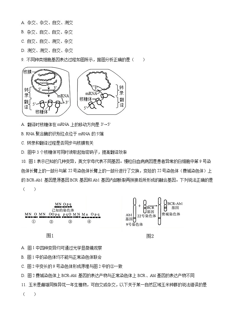 重庆市巴蜀中学2024-2025学年高二上学期10月月考生物试题 Word版无答案第3页