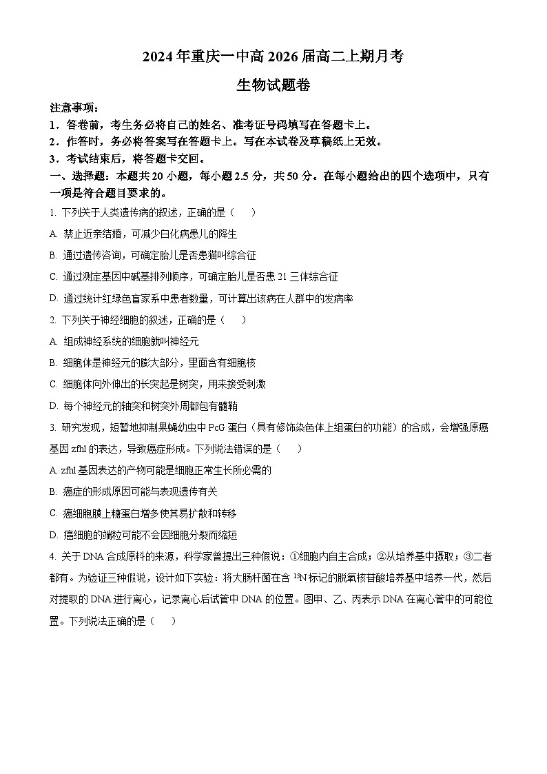 重庆市第一中学2024-2025学年高二上学期第一次月考（10月）生物试卷（Word版附解析）01
