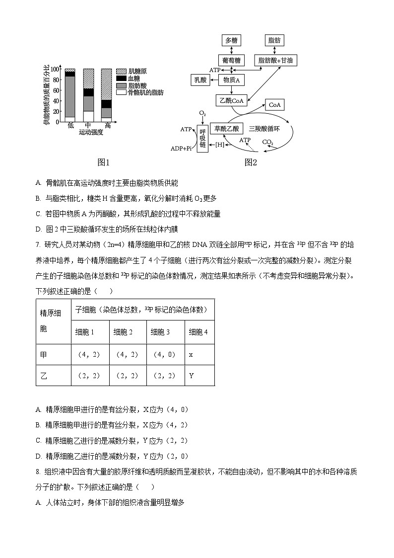 重庆市第一中学2024-2025学年高二上学期第一次月考（10月）生物试卷（Word版附解析）03