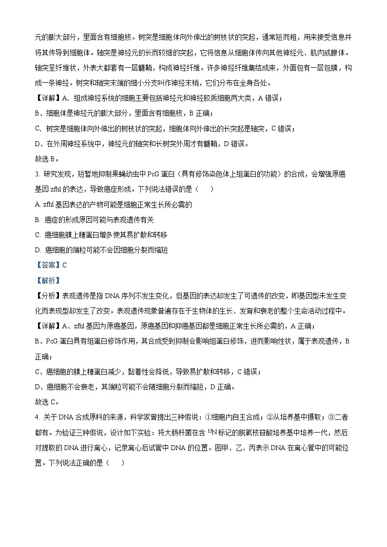 重庆市第一中学2024-2025学年高二上学期第一次月考（10月）生物试卷（Word版附解析）02
