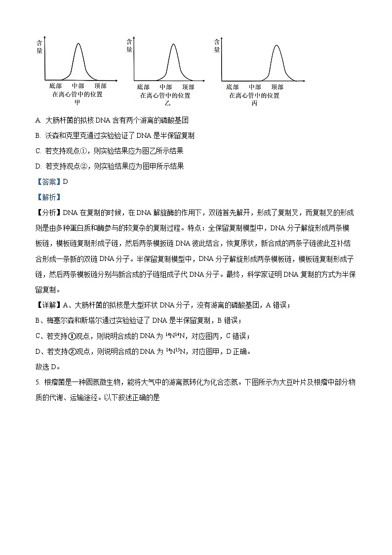 重庆市第一中学2024-2025学年高二上学期第一次月考（10月）生物试卷（Word版附解析）03