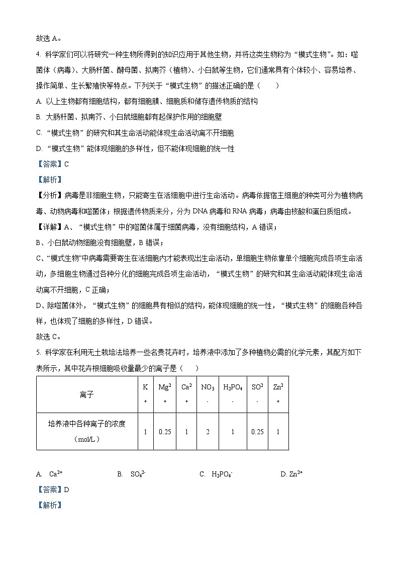 重庆市江津中学2024-2025学年高一上学期第一次月考生物试题 Word版含解析第3页