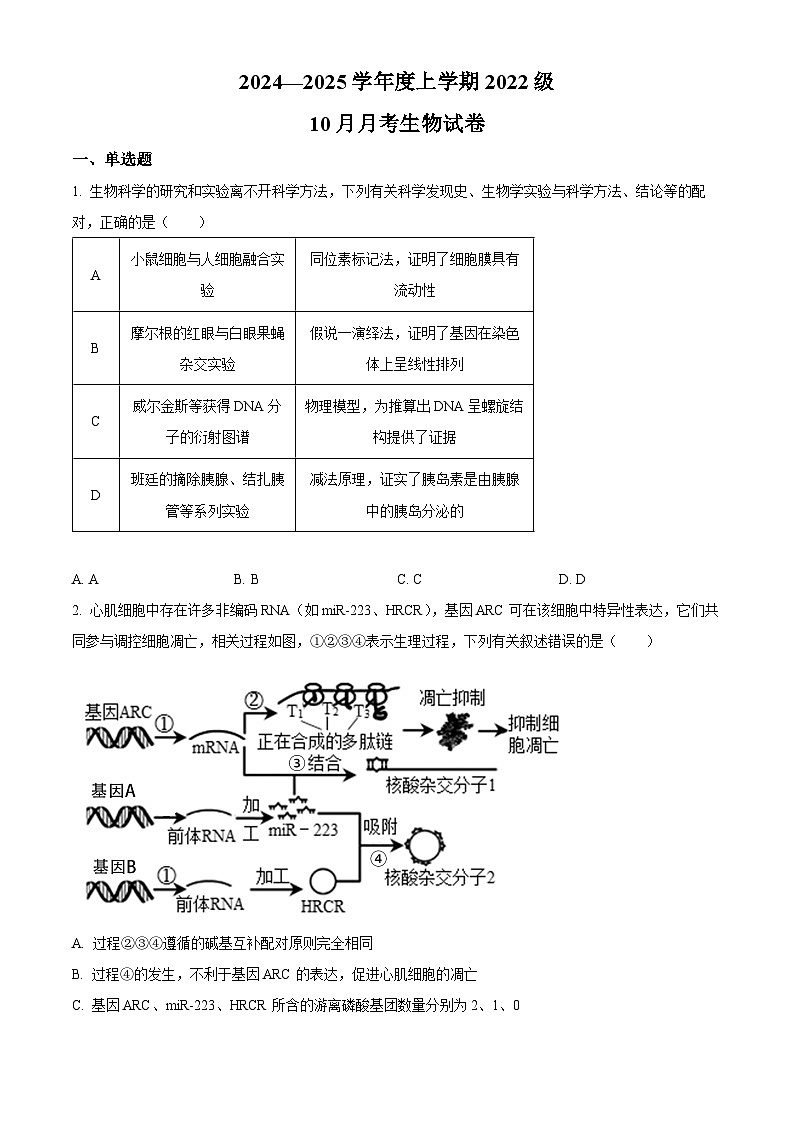 湖北省荆州市沙市中学2024-2025学年高三上学期10月月考生物试题 Word版无答案第1页