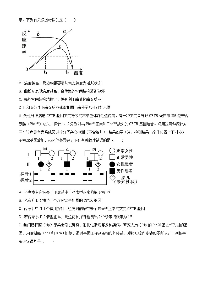 湖北省荆州市沙市中学2024-2025学年高三上学期10月月考生物试题 Word版无答案第3页