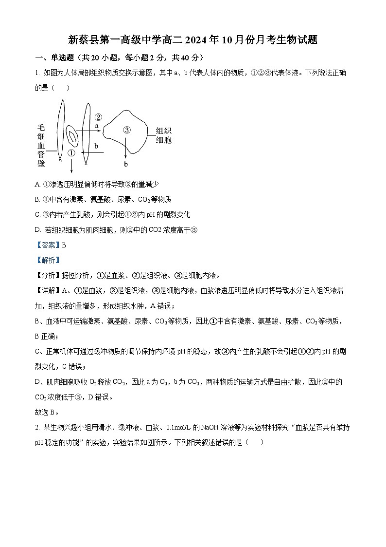 河南省驻马店市新蔡县第一高级中学2024-2025学年高二上学期10月月考生物试题（答案）第1页