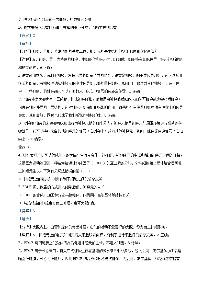 河南省驻马店市新蔡县第一高级中学2024-2025学年高二上学期10月月考生物试题（答案）第3页
