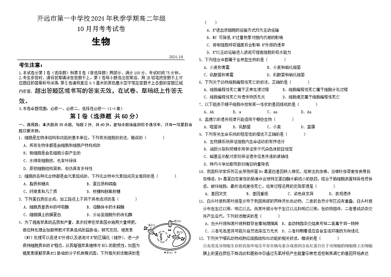 云南省开远市第一中学校2024-2025学年高二上学期10月检测生物试题01