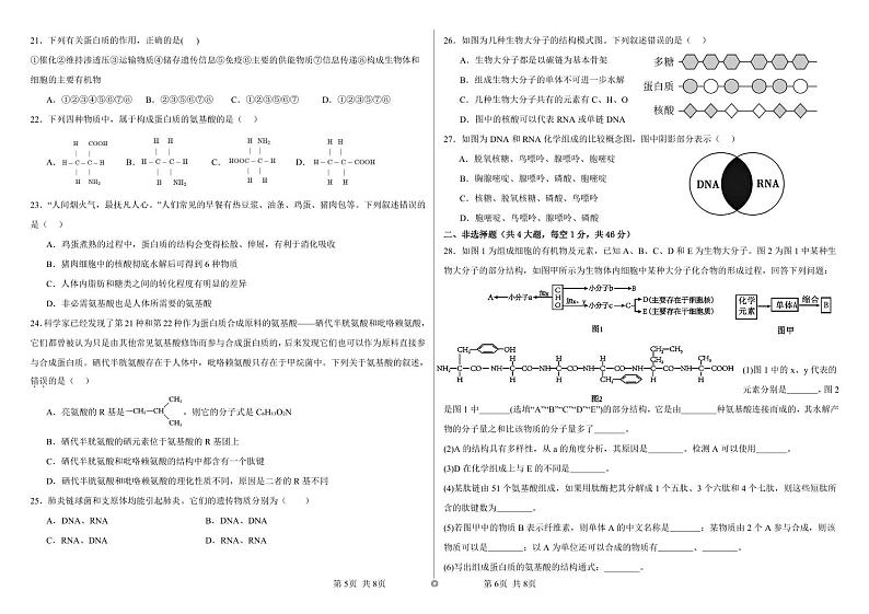 解析版：高一年级第一次月考（2024年10月）第3页