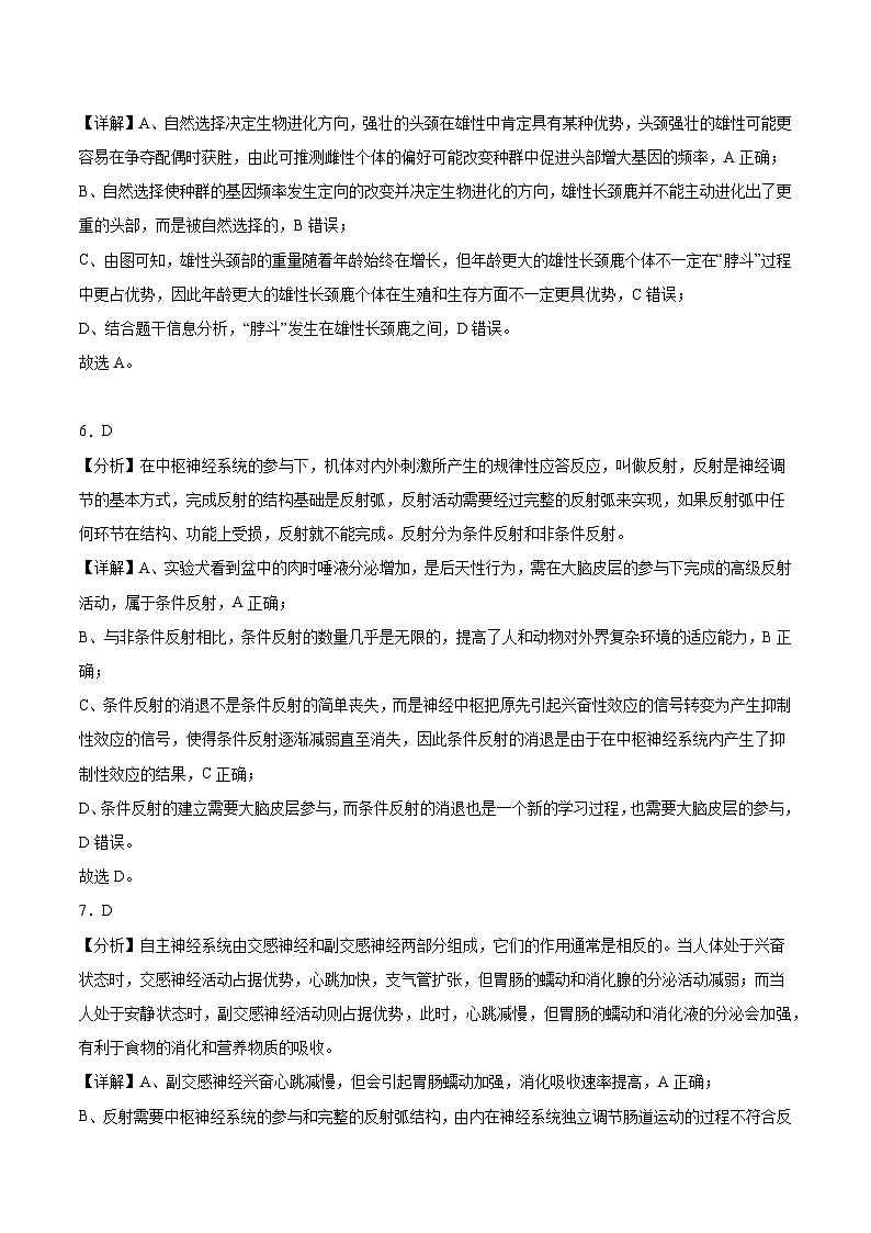 广东省东莞市东莞市海德双语学校2024-2025学年高三上学期10月期中生物试题03