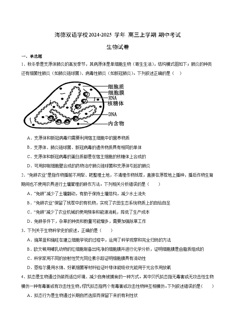 广东省东莞市东莞市海德双语学校2024-2025学年高三上学期10月期中生物试题01