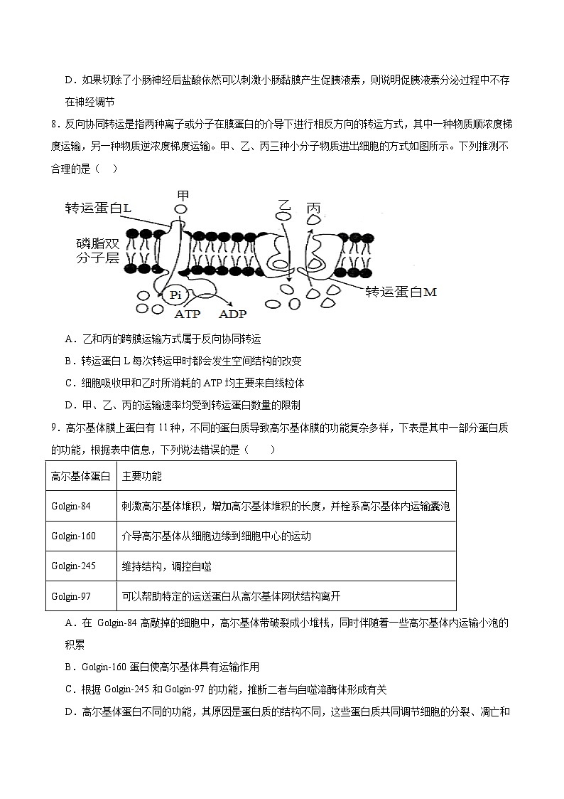 广东省东莞市东莞市海德双语学校2024-2025学年高三上学期10月期中生物试题03