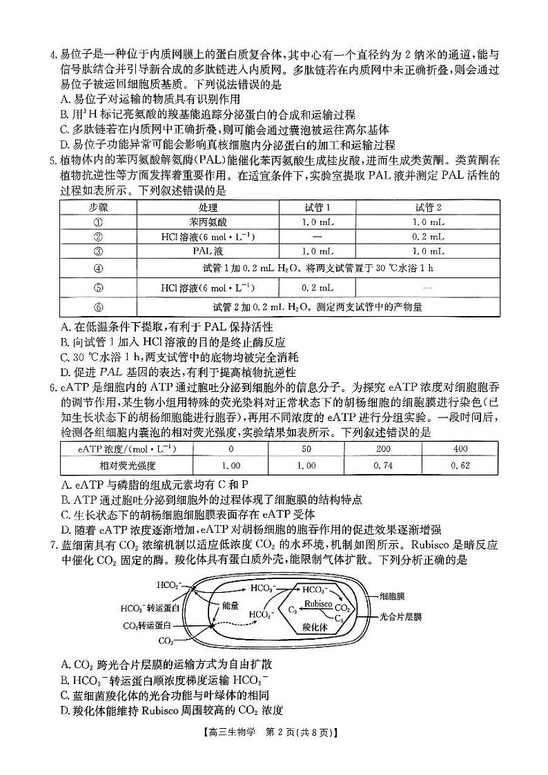 河南省驻马店市经济开发区2024-2025学年高三上学期10月月考生物试题02