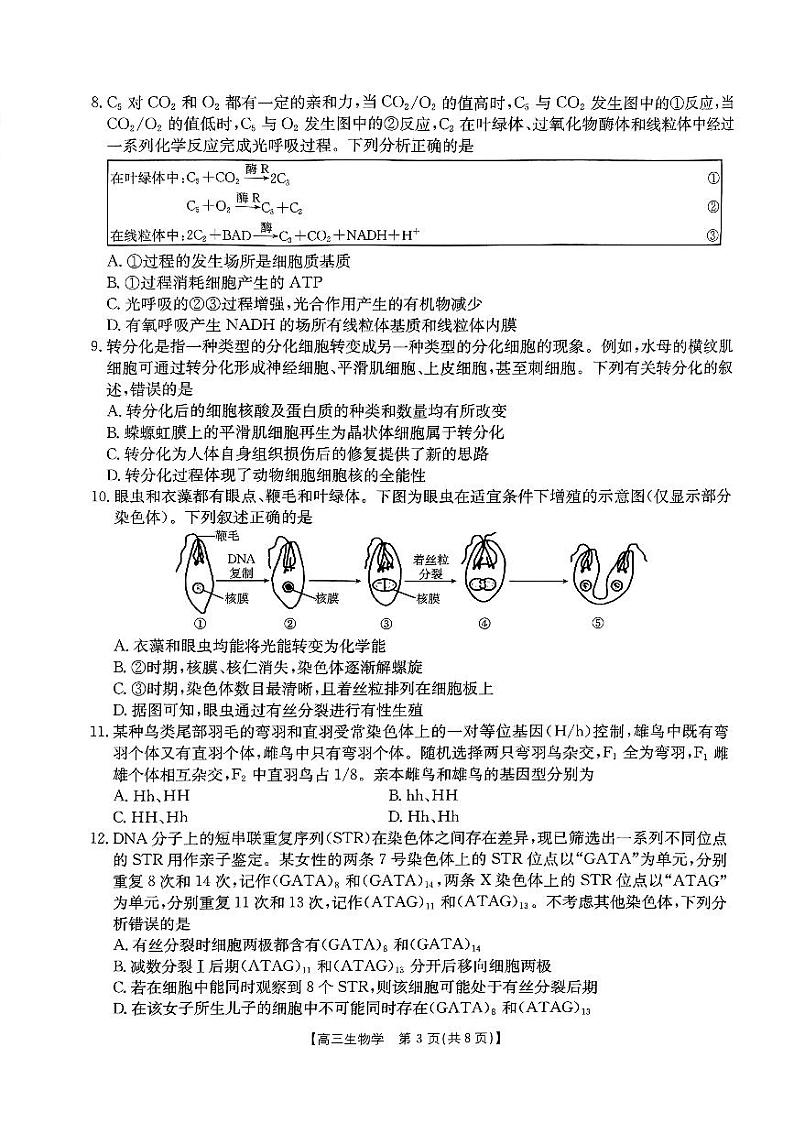 河南省驻马店市经济开发区2024-2025学年高三上学期10月月考生物试题03