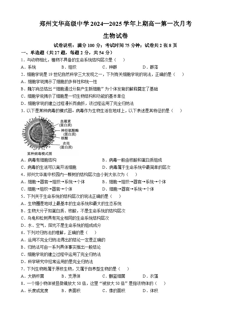 河南省郑州文华高级中学2024-2025学年高一上学期第一次月考生物试卷第1页