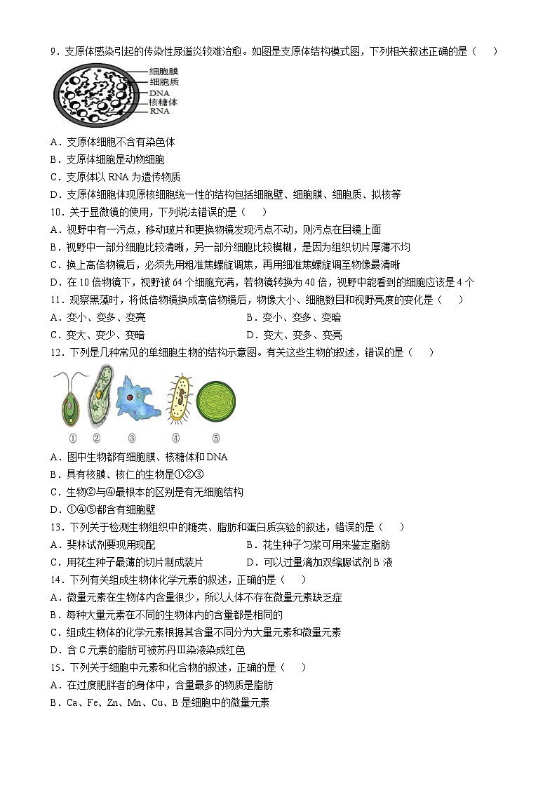 河南省郑州文华高级中学2024-2025学年高一上学期第一次月考生物试卷第2页