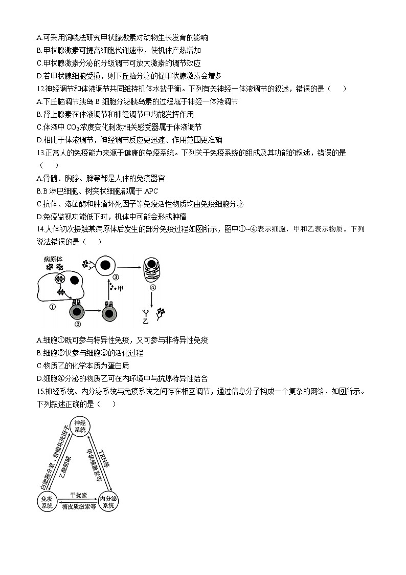河南省洛阳市洛阳创新联盟发展2024-2025学年高二上学期10月月考生物试题第3页